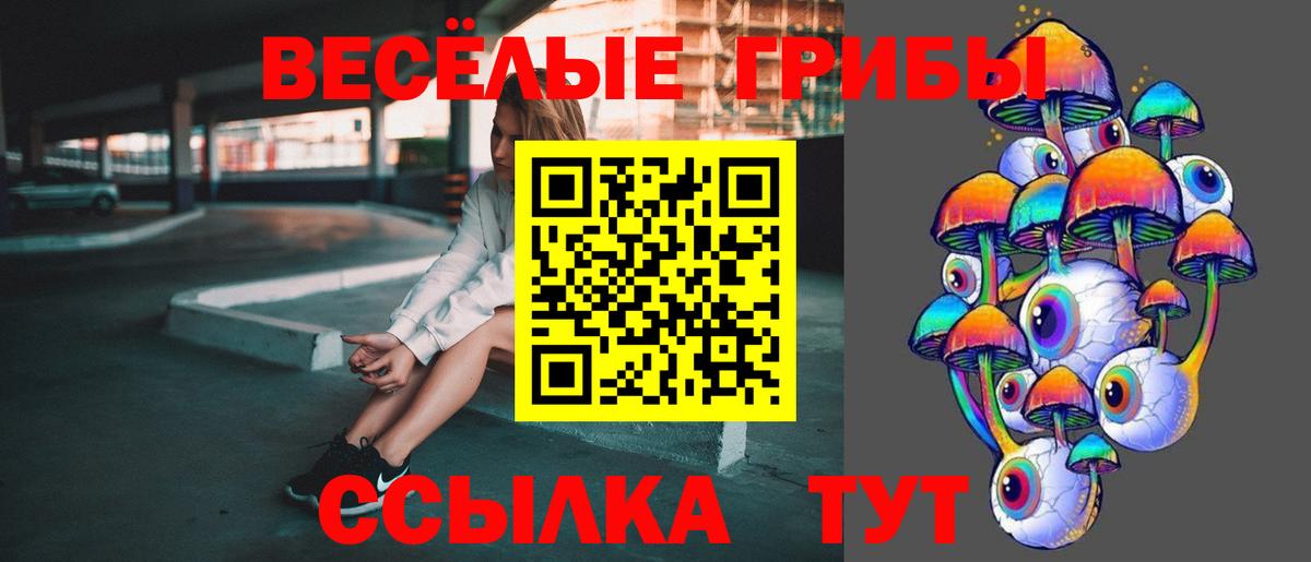 Лысьва  Псилоцибиновые грибы Psilocybe  Вход с VPN  Псилоцибиновые грибы мицелий 